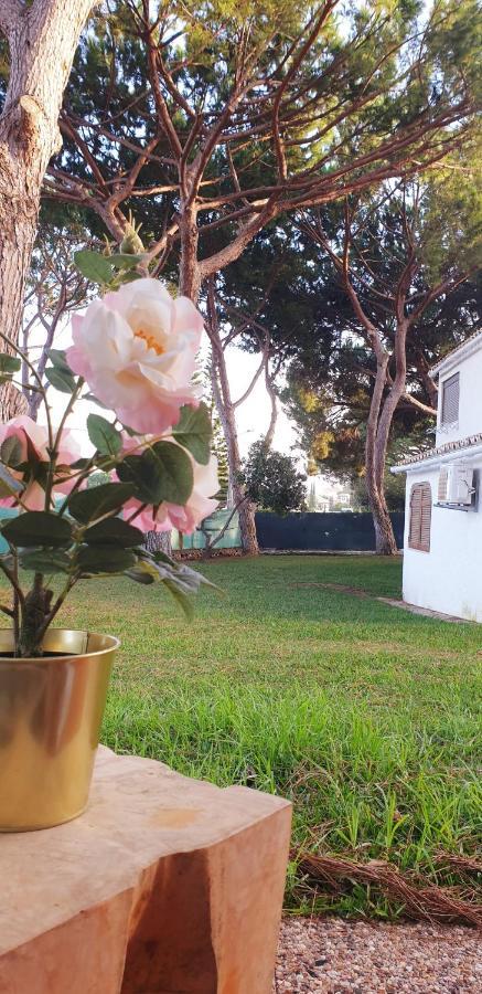 Estudio Na Falesia Albufeira Extérieur photo